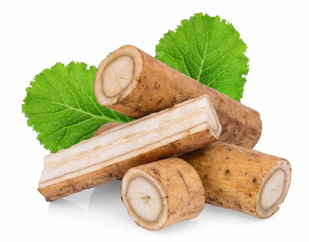 Organic-Burdock